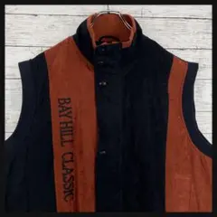 【B-619】ヴィンテージ　ベスト　レトロ　レア　入手困難　希少