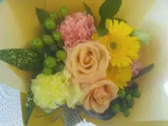 専　用＊＊ご確認用＊＊