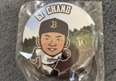 オリックス バファローズ 茶野篤政 2024宮崎キャンプ 缶バッジ