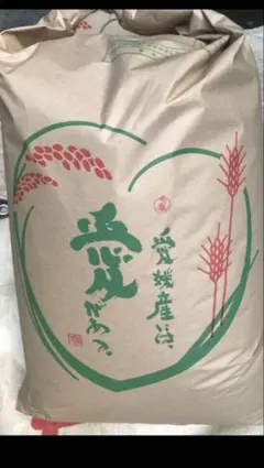 令和7年長野県安曇野市産コシヒカリ 白米27kg(玄米30kgを精米) - メルカリ