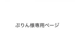 ぷりん様専用ページ