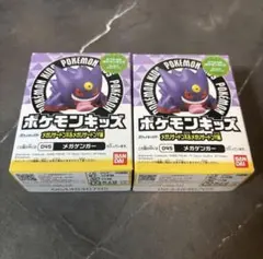 ポケモンキッズ　メガリザードンX&メガリザードンY編　メガゲンガー　2点セット