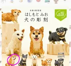 しーちゃん様 リクエスト 2点 まとめ商品