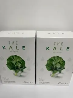 Item thumbnail for item fba8a89a-d264-4a58-a4c0-013cd2ccd88b