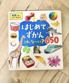 はじめてずかん これ、な～に？650