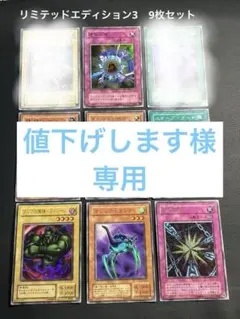 値下げします様 専用です