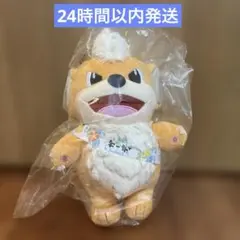 新品 ポケモン ローカル Acts おきなわ応援ポケモン ガーディ