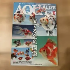 月刊アクアライフ 2026年10月号 金魚図鑑