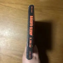 爆風スランプ / I.B.W -ITS A BEAUTIFUL WORLD-