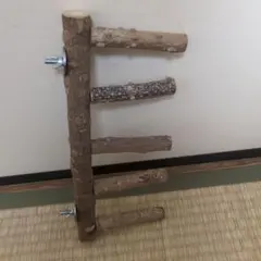 Item thumbnail for item 683217e6-d0cb-4a49-8081-e7c2cd74d5cb