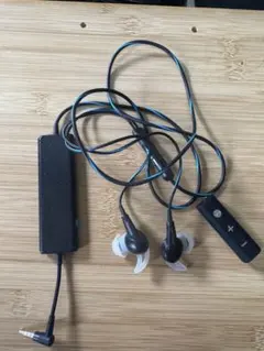 Item thumbnail for item c2c71495-8f60-4f2d-8e80-13a0690b2954