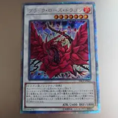 ブラック・ローズ・ドラゴン　20th