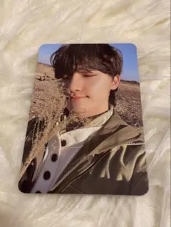 ディノ　トレカ