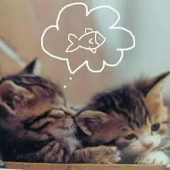 ☆専用です♡♪