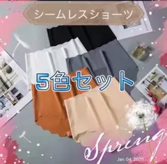 シームレスショーツ L　5枚セット 響かない　肌ざわり 黒　肌　白　灰　橙