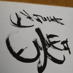 中日ドラゴンズ星野仙一サイン 夢