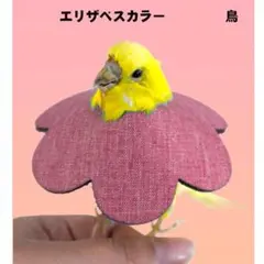 Trisabeth 컬러 잉꼬, 새, 꽃 모양, 양면 사용 가능, 3가지 사이즈, 인기 있는, 양면 천으로 제작