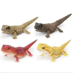 ❗アルマジロトカゲ　イエロー　ガチャ　3点セット‼️ いきもの大図鑑 アルマジロトカゲ イエロー ガチャ ガシャポン