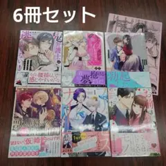 TL魔力0の異世界転移者は最強騎士様の救世主鬼弁護士は逃さな獣人隊長の仮婚約事情