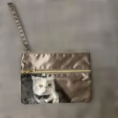 外ポケット付きフラットポーチ ブサかわ猫柄　 ゴールド　防水