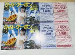 ナガシマスパーランド ワイドクーポン 2026年1冊のサムネイル