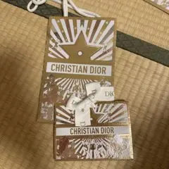 CHRISTIAN DIOR ショップ袋セット
