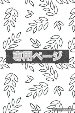 RT-138684 様　専用