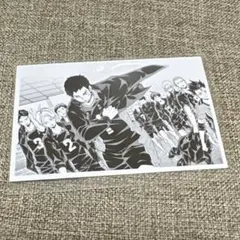 ハイキュー 10th クロニクル 思い出スナップフォトカード 烏野 集合