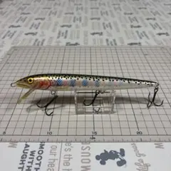 Item thumbnail for item 154b2b54-12df-4ebe-9e76-0e86acbe77ec