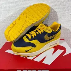 22cmナイキ エア マックス 1 プレミアム CO JP fj5479-410