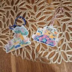 香港ディズニーランド　アクリルキーホルダー2点セット