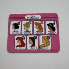 ディズニープリンセス ステッカーシート