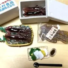 リーメント 北海道産 いか 産地直送もぎたてパック ぷちサンプル 匿名発送のサムネイル