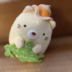 北海道の地図を持つすみっコぐらし