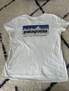 Patagonia パタゴニア　オーガニックコットン Tシャツ M ホワイト