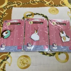 ニャンコ先生　チャームセット