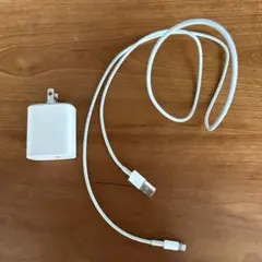 정품 Apple 20W 타입 C 전원 어댑터와 짠 USB-C 케이블