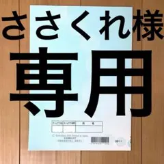 ささくれ様 リクエスト 2点 まとめ商品