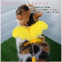 セール★ハーネスセット　天使の羽　猫ハーネス 犬ハーネス 超小型犬 かわいい