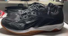 ミズノ バレーボール