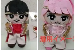 SnowMan 向井康二 すのチル ぬいぐるみ アクキー アクスタセット