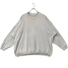 だ*い様 アメリカンイーグル　男スウェット　水色　M　秋服　トレーナー【474】