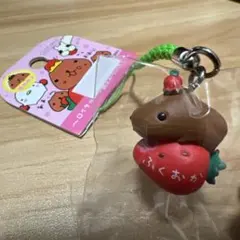 2025年最新】カピバラ ご当地の人気アイテム - メルカリ