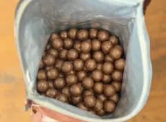 Item thumbnail for item 691f8e9d-c020-42c5-89f0-fb2ad6e770eb