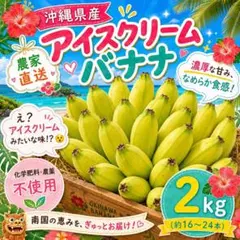 沖縄県産 アイスクリームバナナ 2kg 農家直送のサムネイル