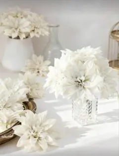 Item thumbnail for item efb0f674-fad4-40c7-8814-730c4b5739ba