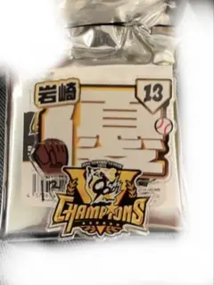 《阪神タイガース》岩崎優 選手 シークレットアクリルネームキーホルダー