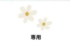 専用