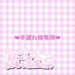 ♥オーダー♥ネイルチップ