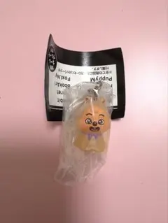 SKZOO　スキズ　straykids ハンクォッカ ハン